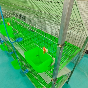 Mới nóng bán tùy chỉnh nhựa & mạ kẽm hàn dây lưới h-loại thỏ lồng - Product Image 4