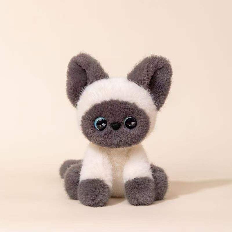 Chat siamois gris fumé