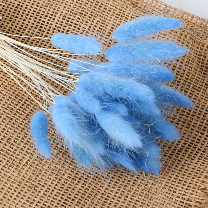 Bleu ciel (env.30 pièces)