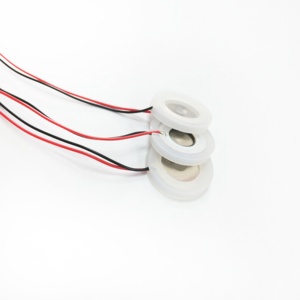 Zxgs 2016-AT Tổng đường kính 20mm siêu âm fogging miếng Piezo thành phần 110 <span class=keywords><strong>Ohm</strong></span> nebuliser tạo độ ẩm vẻ đẹp cụ - Product Image 5