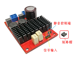 TPA3116 Digital Power Amplifier Module <strong>Mono</strong> BTL <strong>Output</strong> 100W High Power Audio Amplifier - Product Image 3