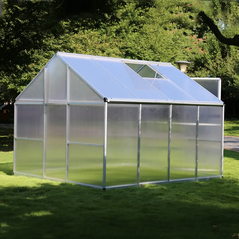 Invernadero de policarbonato Natural para uso doméstico, invernadero de PC de diseño bonito a precio de fabricante