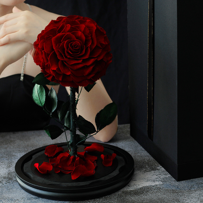 Coffret cadeau Amour de ma vie 2030cm