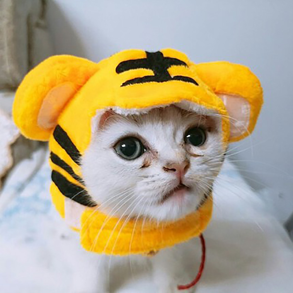 Tigre b05304