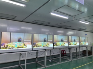 55-Inch Transparent OLED Screen Monitor Touch <strong>Display</strong> Desktop LED Digital Signage and Transparent OLED <strong>Display</strong> - Product Image 2