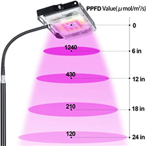 <strong>Grow</strong> Light with Stand, LBW Full Spectrum 150W LED Floor Plant Light for Indoor , <strong>Grow</strong> Lamp with On/Off Timer Switch, Adjustable - Product Image 4
