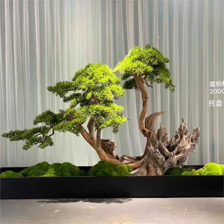 Großhandels preis Künstliche Bonsai Kiefer Pflanze Indoor Dekorative Grüne Kiefer Für Zuhause
