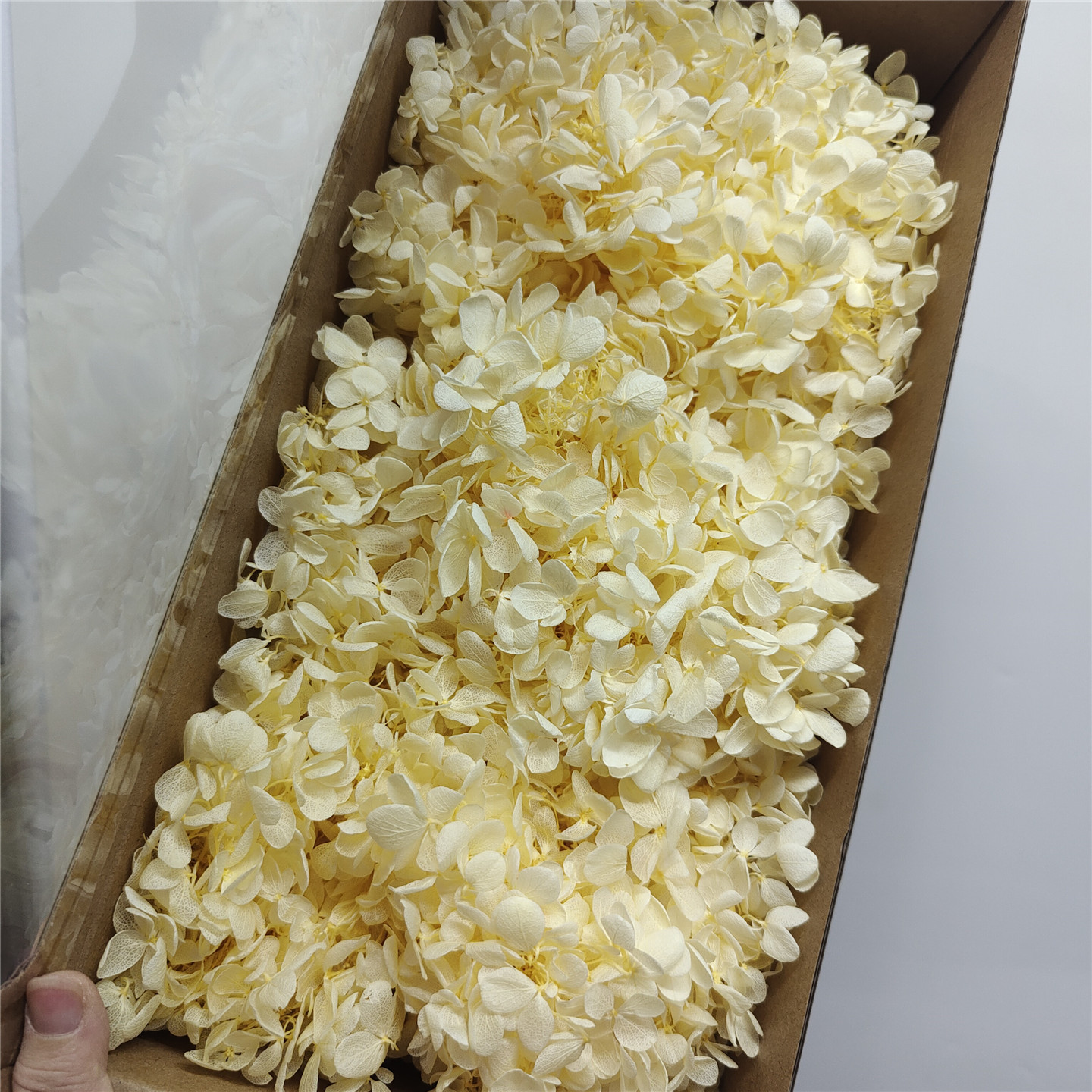 Goose yellow wooden hydrangea-90-100g per box