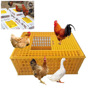 Yüksek kaliteli turuncu plastik tavuk taşıma kafesleri plastik ch çekmece tipi tavuk taşıma kutusu ile açık üst - Product Image 5