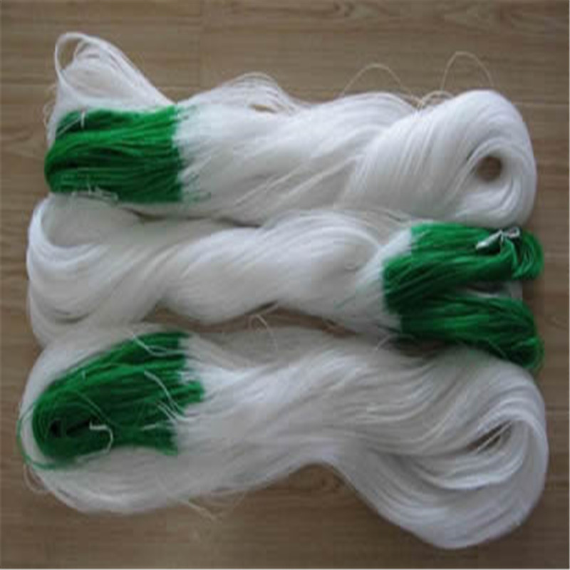 white with green borders
