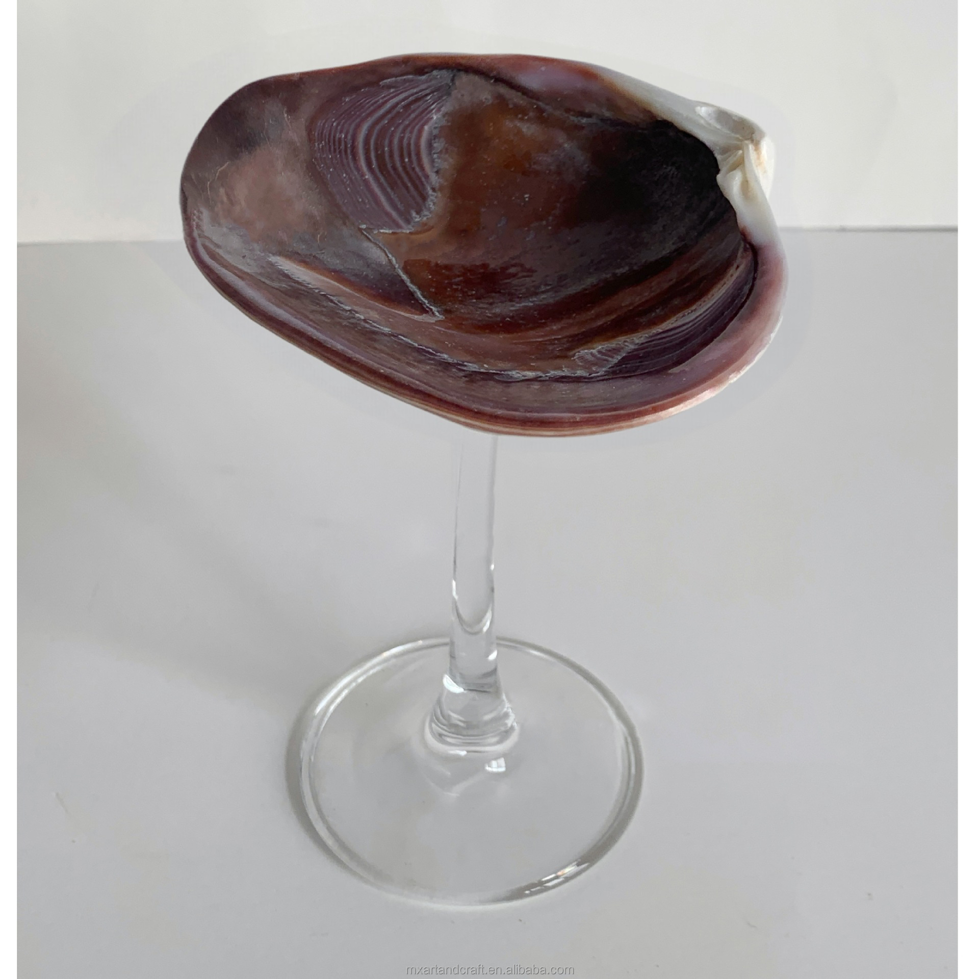 Tallo de vidrio de concha morada