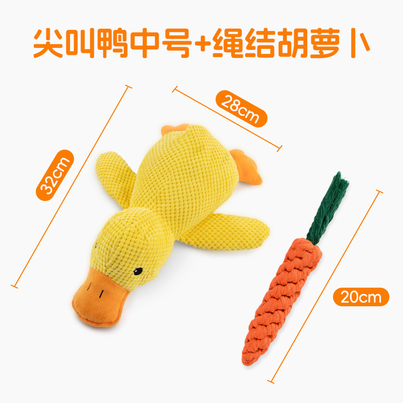 Carota media+annodata