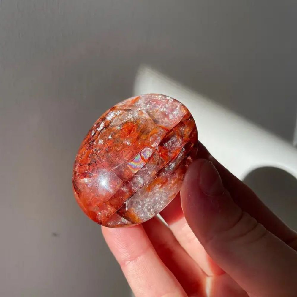 Fleur de gomme rouge
