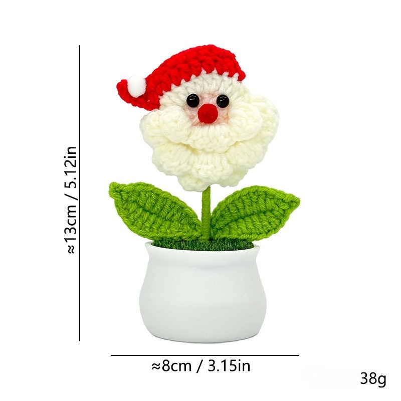 Christmas potted plants