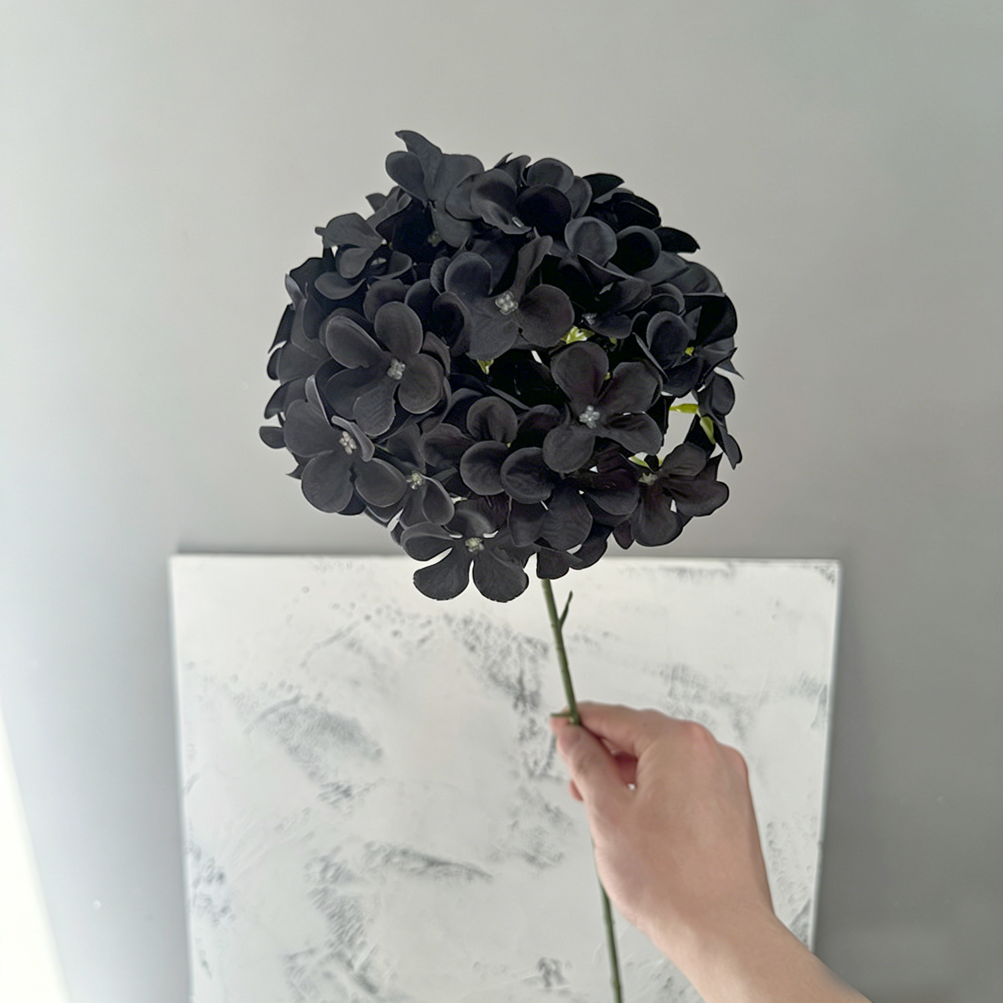 Noir