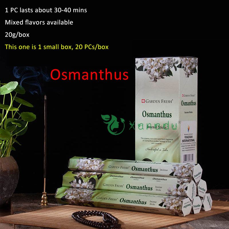 osmanthus