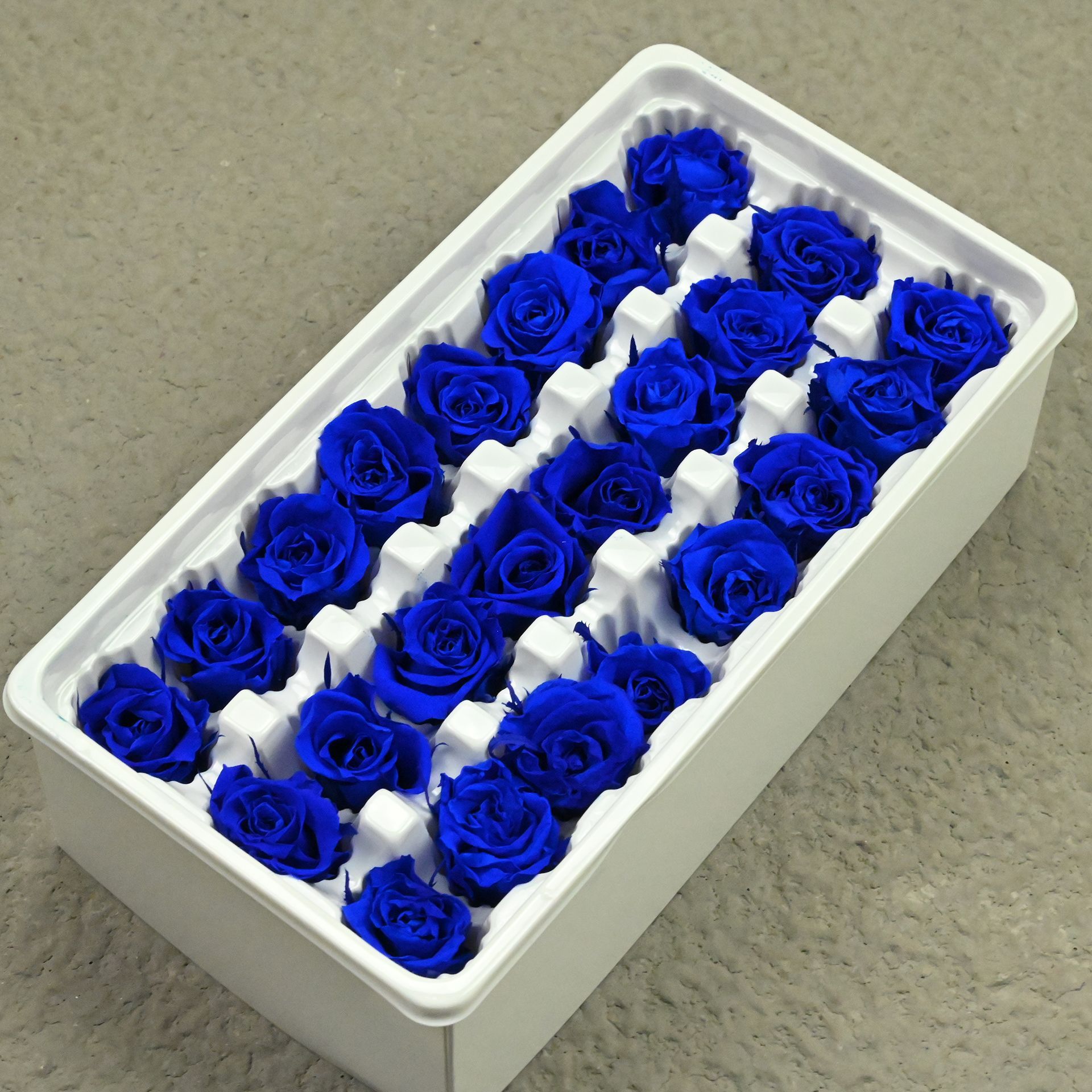 B mei 2-3 sapphire blue 121 or 24