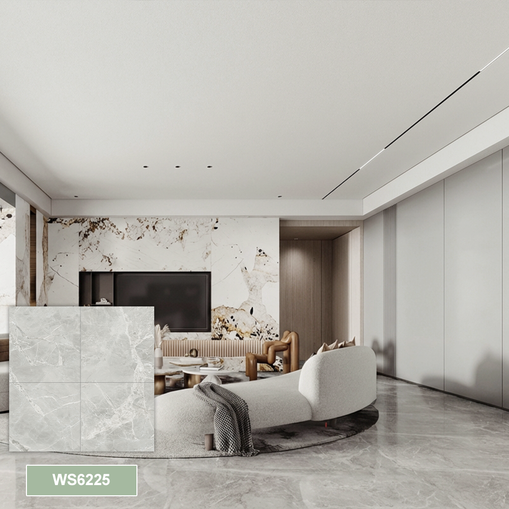 WS6225