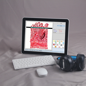 Wifi thông minh tự động biodiagnosis 9D sức khỏe Tester tiểu sức khỏe phân tích cho tiểu sức khỏe chẩn đoán Tester <span class=keywords><strong>Analyzer</strong></span> - Product Image 3