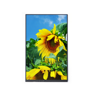 Chân dung 10.1 "mipi TFT 800x1280 <span class=keywords><strong>LCD</strong></span> module 10.1 inch IPS <span class=keywords><strong>LCD</strong></span> hiển thị - Product Image 2