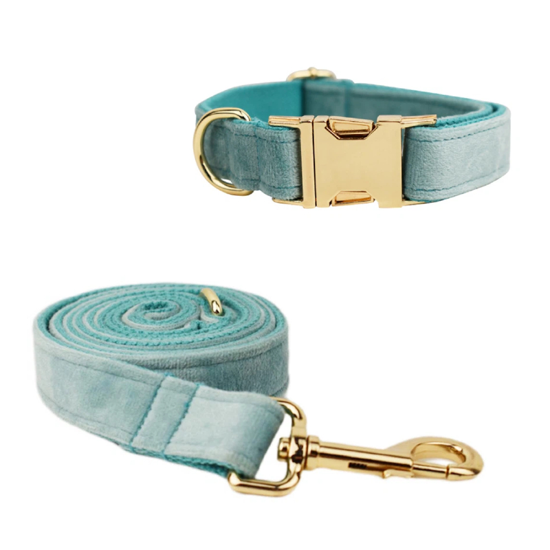 Azul Teal