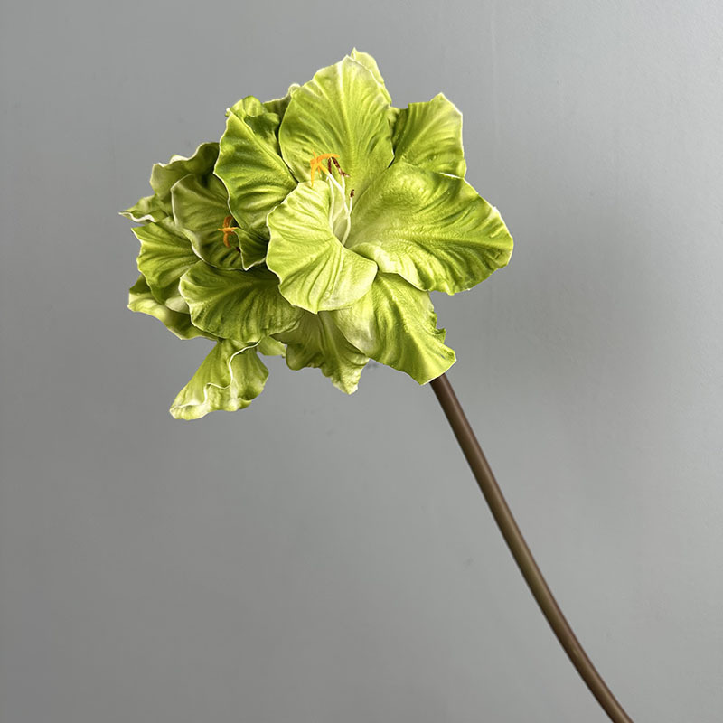 Vert