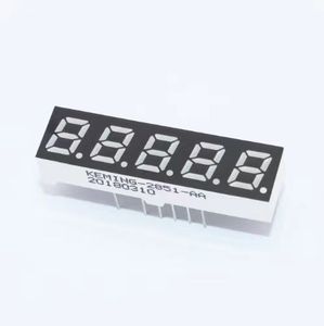 Display a LED a 7 segmenti personalizzati con Display a 2 cifre da 4 pollici e 5 cifre con segmento personalizzato - Product Image 1