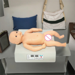 <strong>Computer</strong> Model of Infant Heart and Lung Auscultation Microcomputer Display Board - Product Image 4
