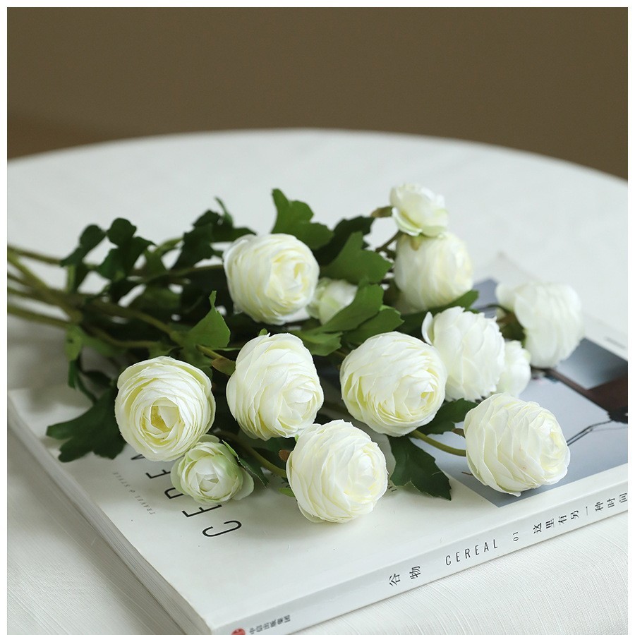 Blanc