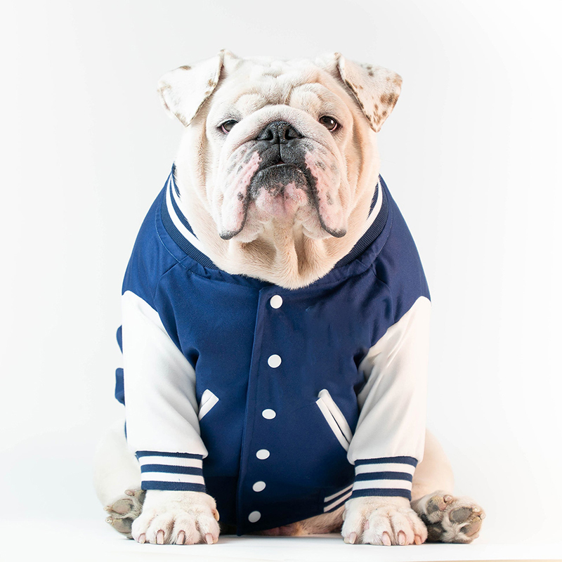 Bleu marine