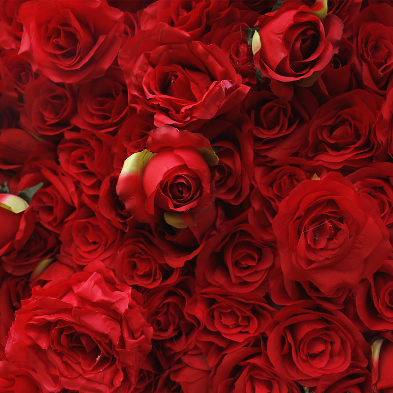 Rouge