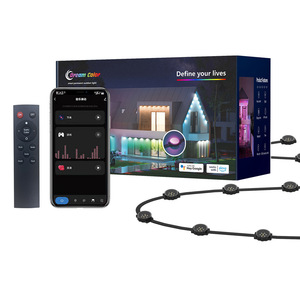 RGBW led piksel noktası ışık ws2811 IP68 su geçirmez açık akıllı wifi kontrol noel tatili led piksel noktası ışıkları - Product Image 2