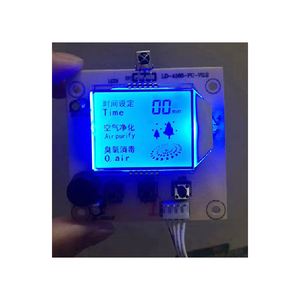 Personalizzato monocromatico 7 segmento 20 cifre TN HTN tipo positivo Lcd Display LCM con scheda Controller per distributore di carburante