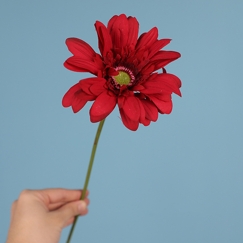 Rojo y negro