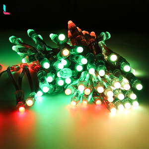 5V 12V 12mm Smart LED Punkt Pixel Modul 5V Lichterkette LED Pixel Ws2811 RGB Luces LED IP68 80 LED Decken beleuchtung 12V Quelle - Product Image 4