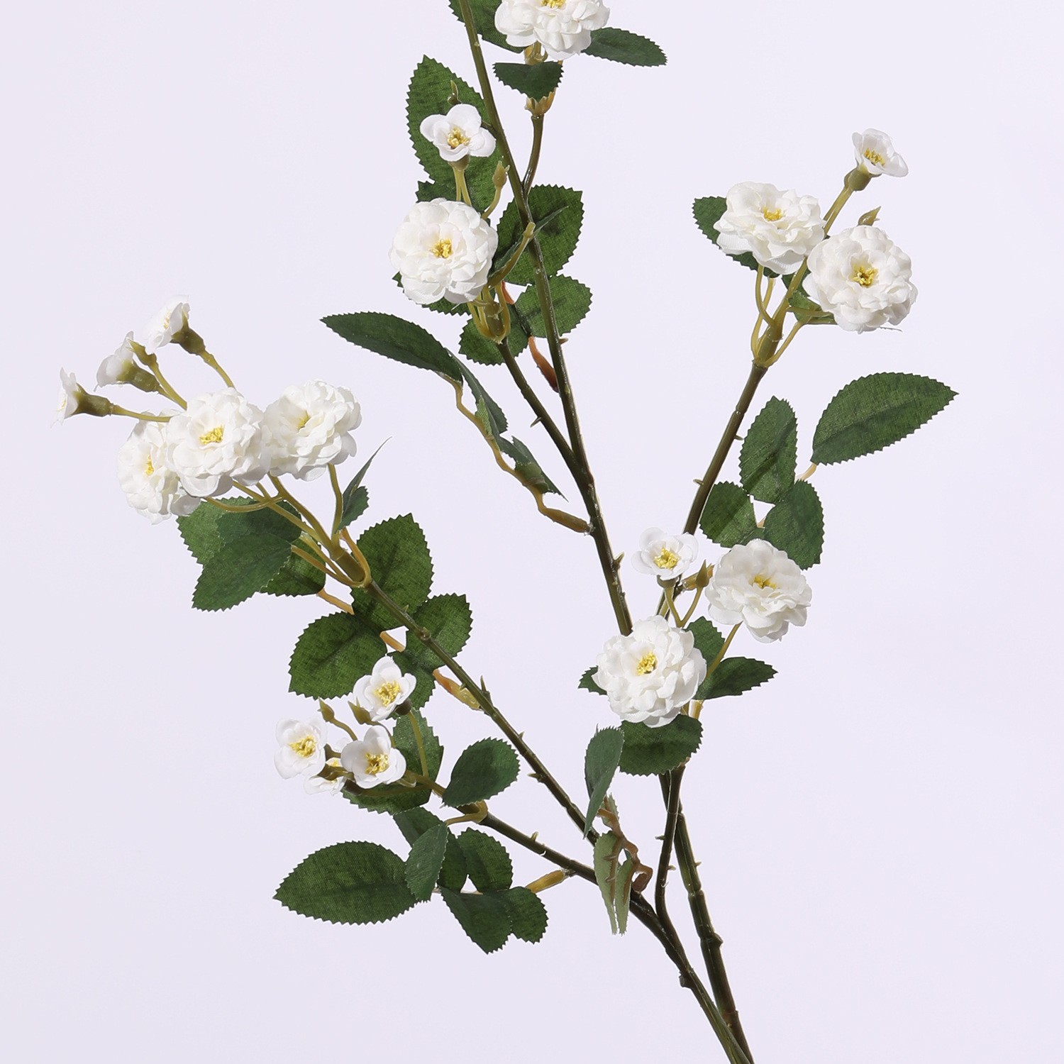 Spray Rosa - Bianco