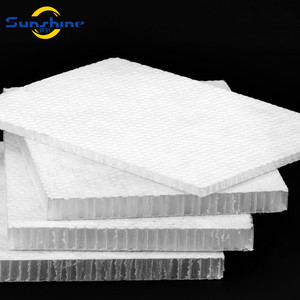 PP Plastic <strong>Honeycomb</strong> <strong>Panel</strong> Sandwich <strong>Core</strong> Sheet <strong>Honeycomb</strong> Bare <strong>Panel</strong>
