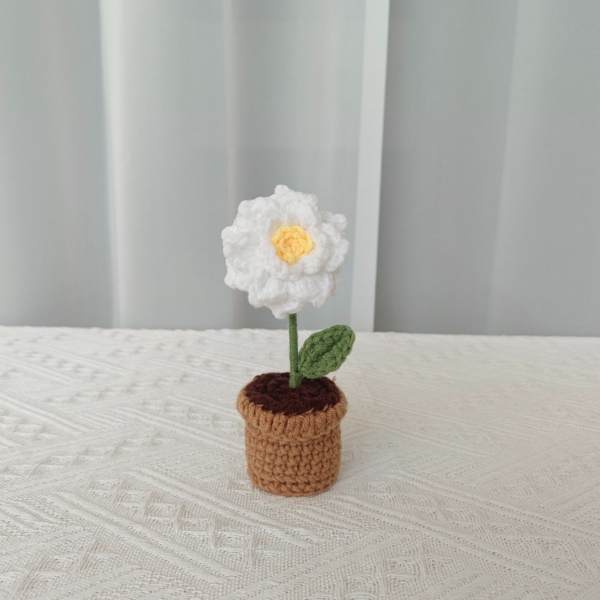 White A gardenia potted plant