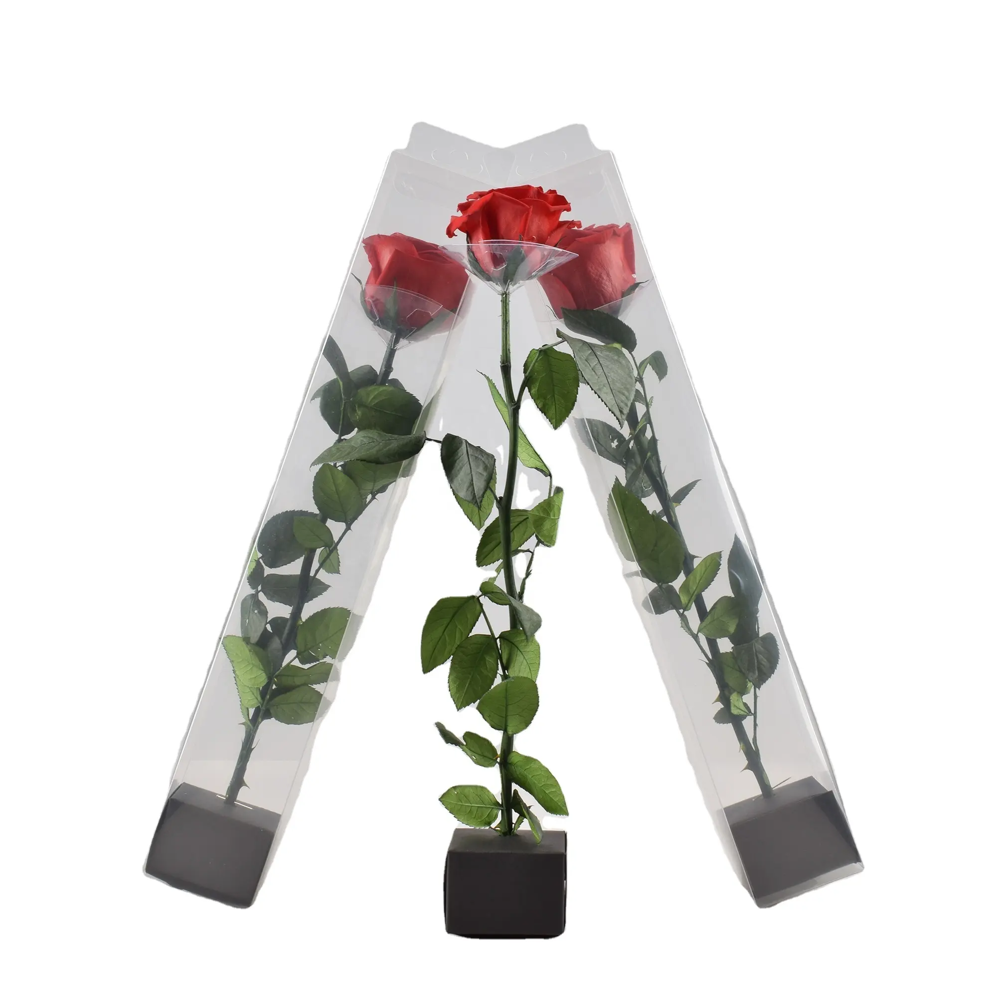 HFlora Factory Supply 40cm hoch Langs tiel Rose 5 ~ 6 cm Rosenblüten kopf natürlich konservierte Rosen für Home Wedding Decoration