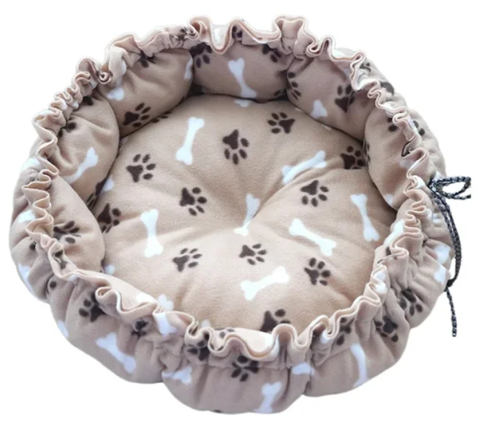 อุ้งเท้า