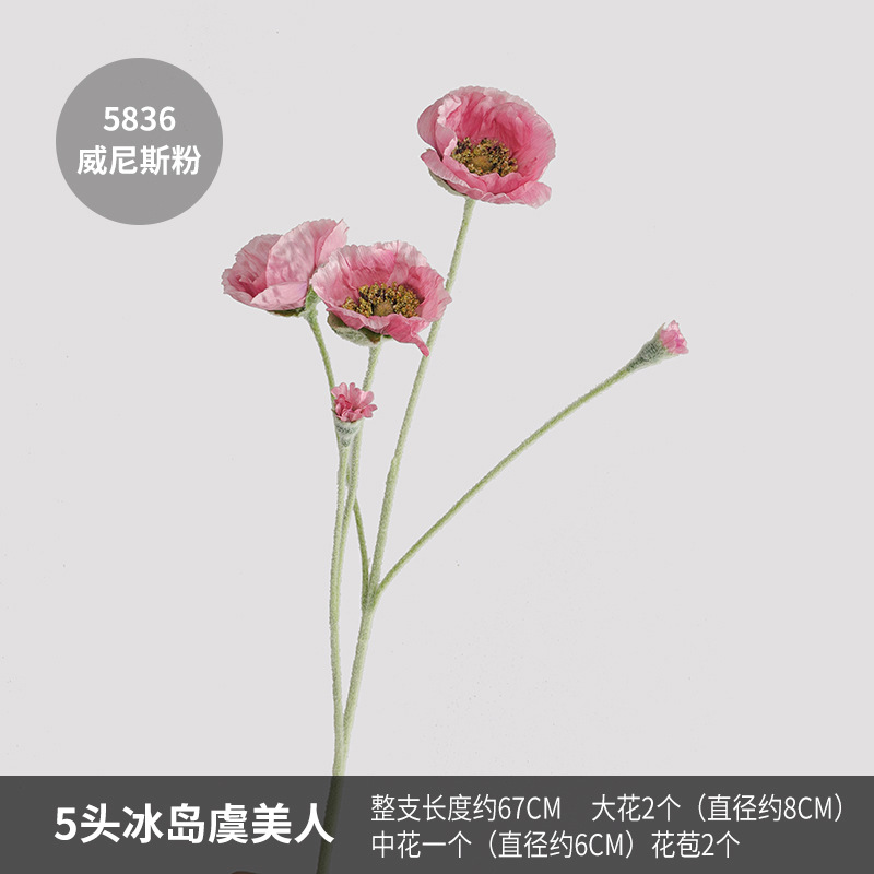5836 venetian powder