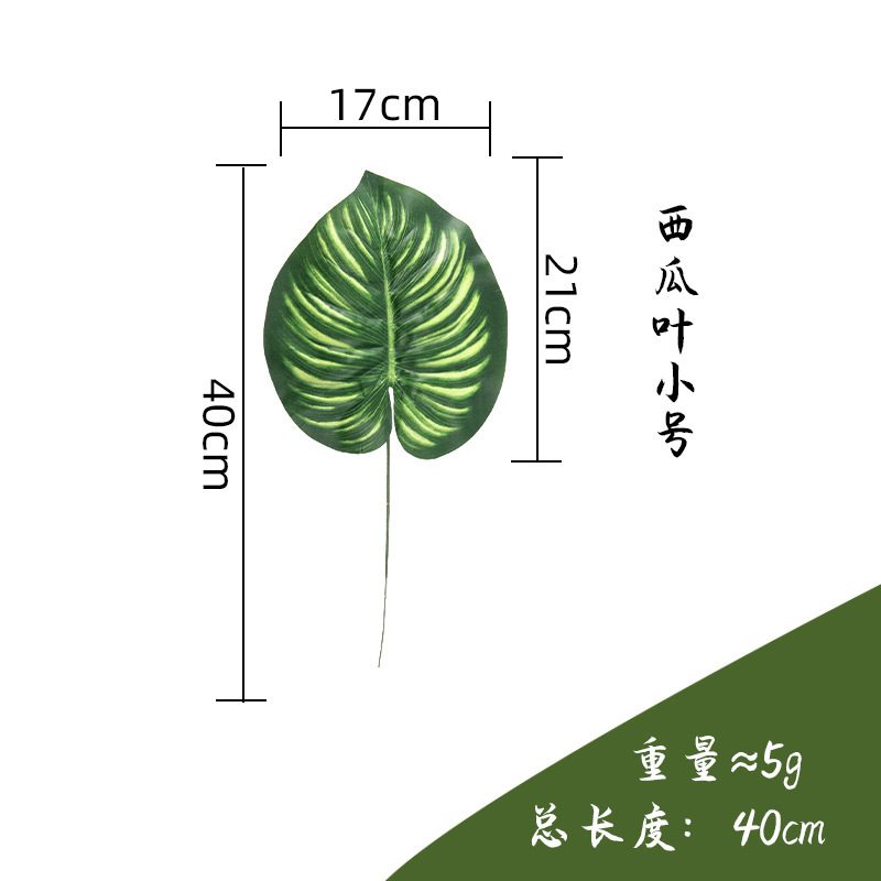 Old watermelon leaf small