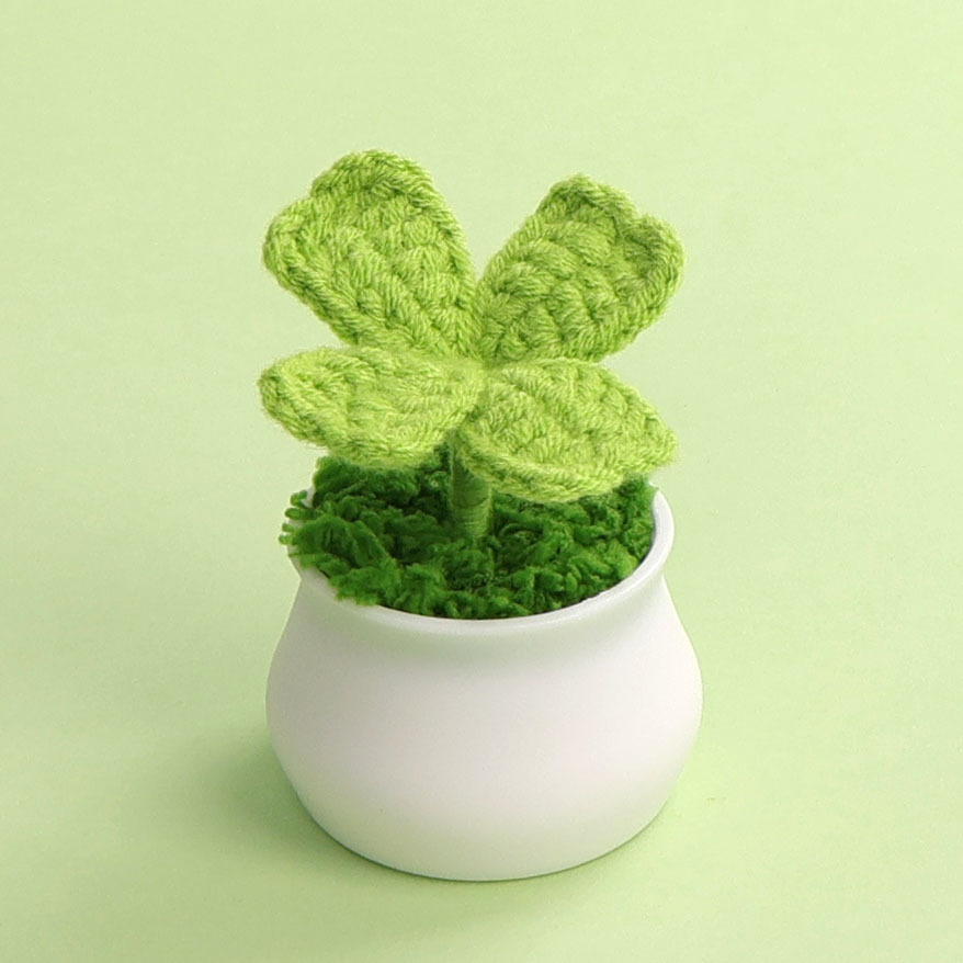 Pianta in vaso di trifoglio a quattro foglie a stelo singolo - bocciolo gr