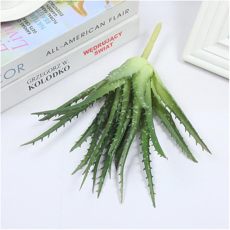 Aloe Vera Dentelé Vert 23cm 105.5g