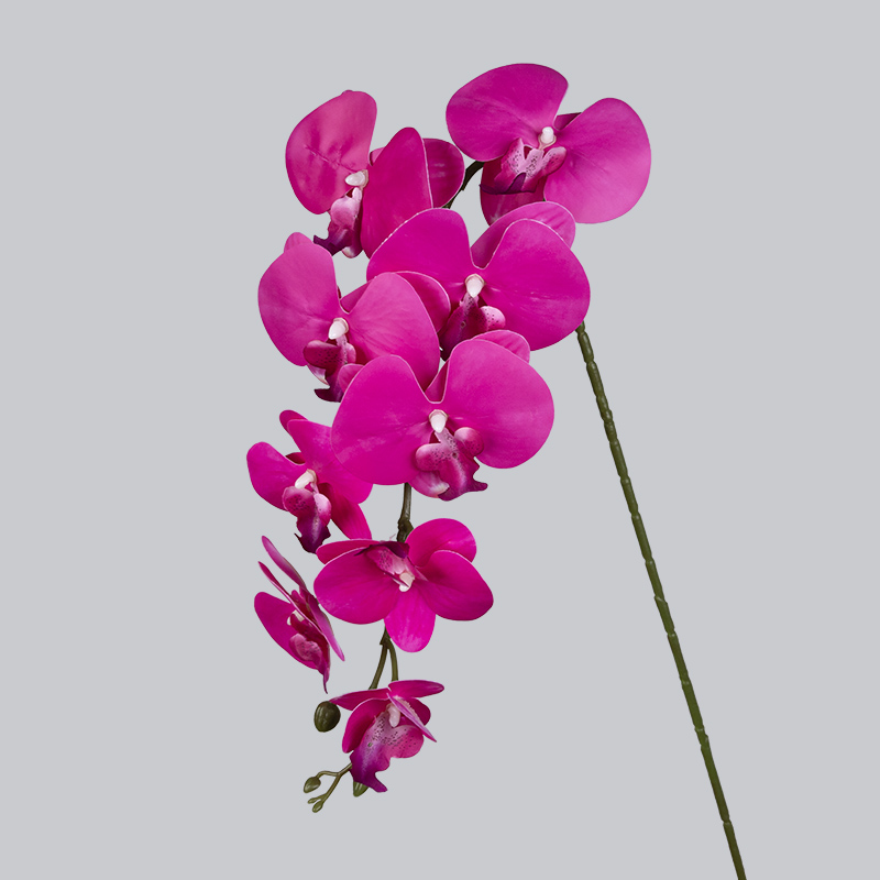 PU 9 Orichid-rose rouge
