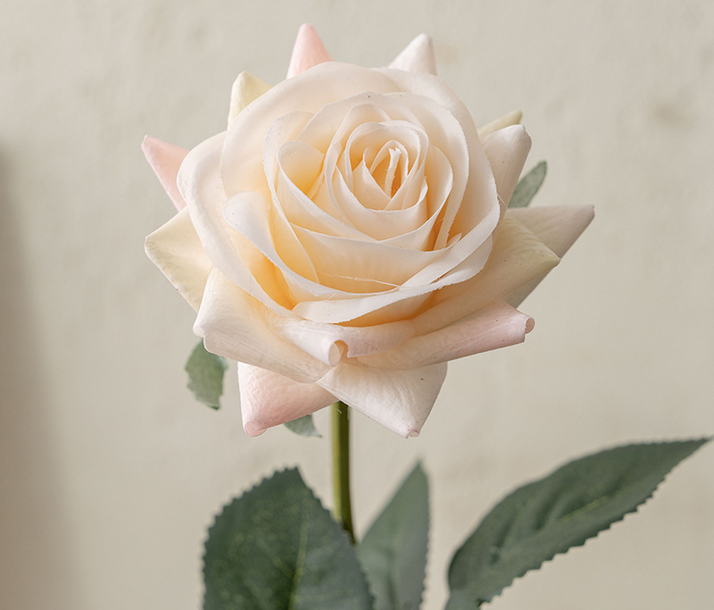 Champagne