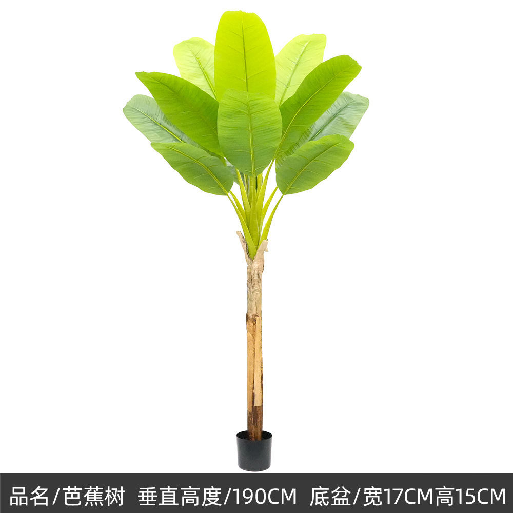 190cm/Single-Pole Banana Tree