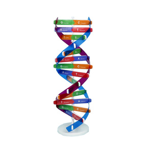 2025 yeni KRC yeni DIY insan genleri DNA modelleri çift sarmal bilim yaygınlaştırma çocuklar için öğretim yardımcıları bilim araçları Test kiti - Product Image 1