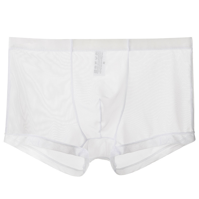 White Thin Sheer Mesh Boxer Brief