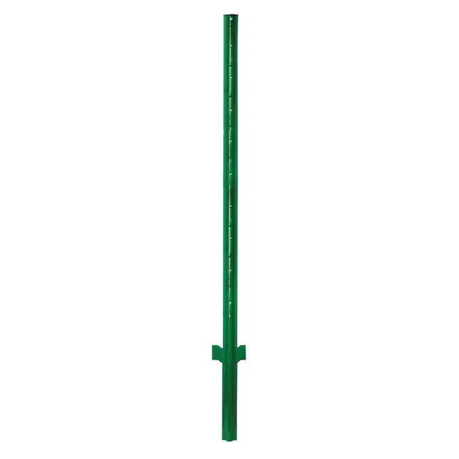 Vert clair